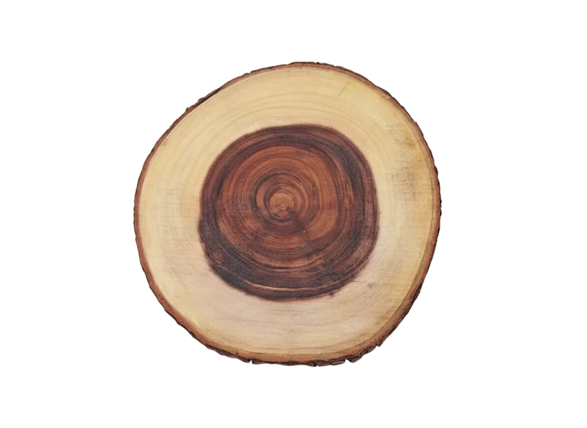 TREE TRUNK