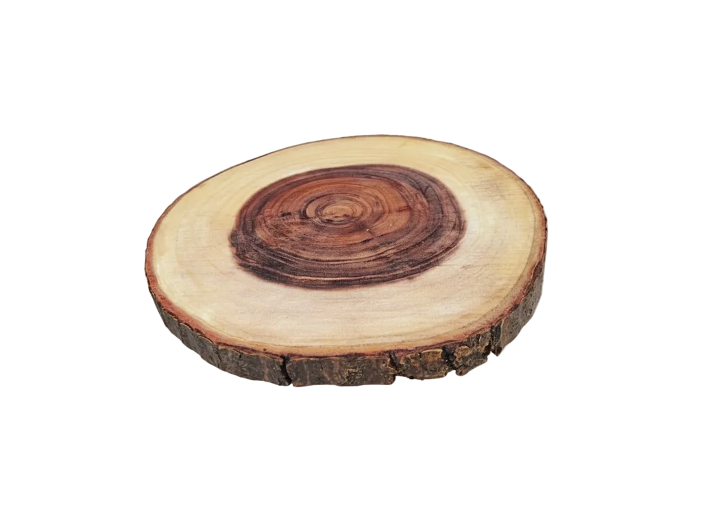 TREE TRUNK