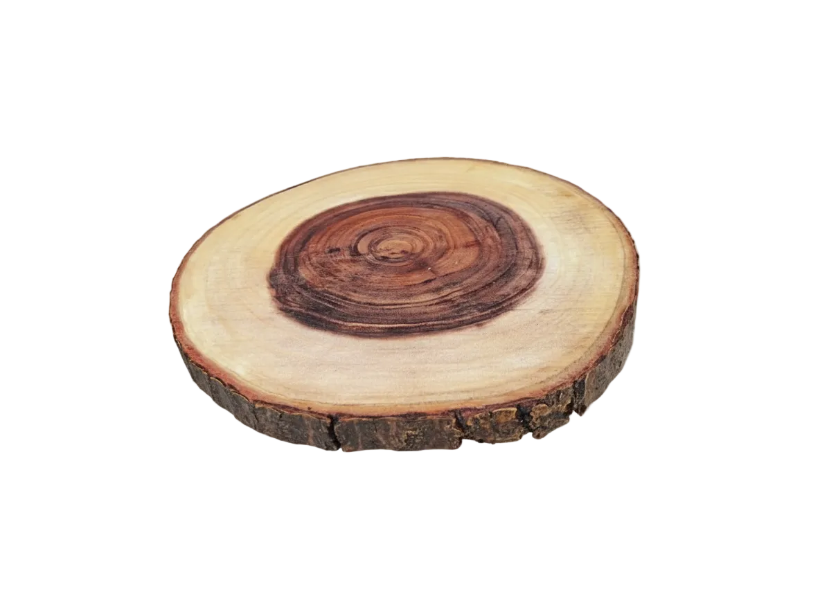 TREE TRUNK